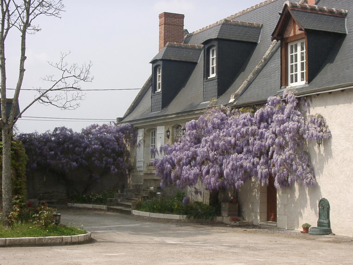 Au Clos De L'Epinay วูวเรย์ ภายนอก รูปภาพ