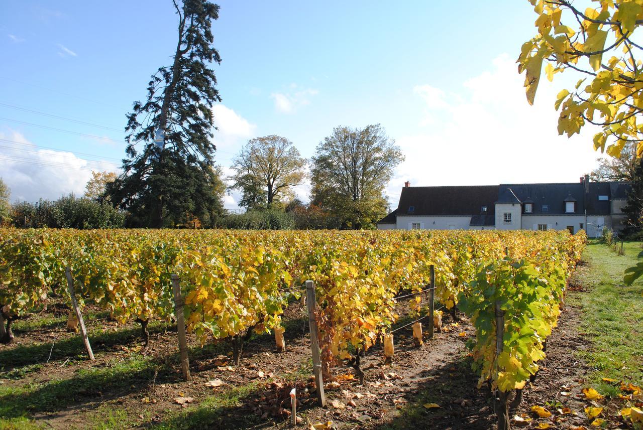 Au Clos De L'Epinay วูวเรย์ ภายนอก รูปภาพ