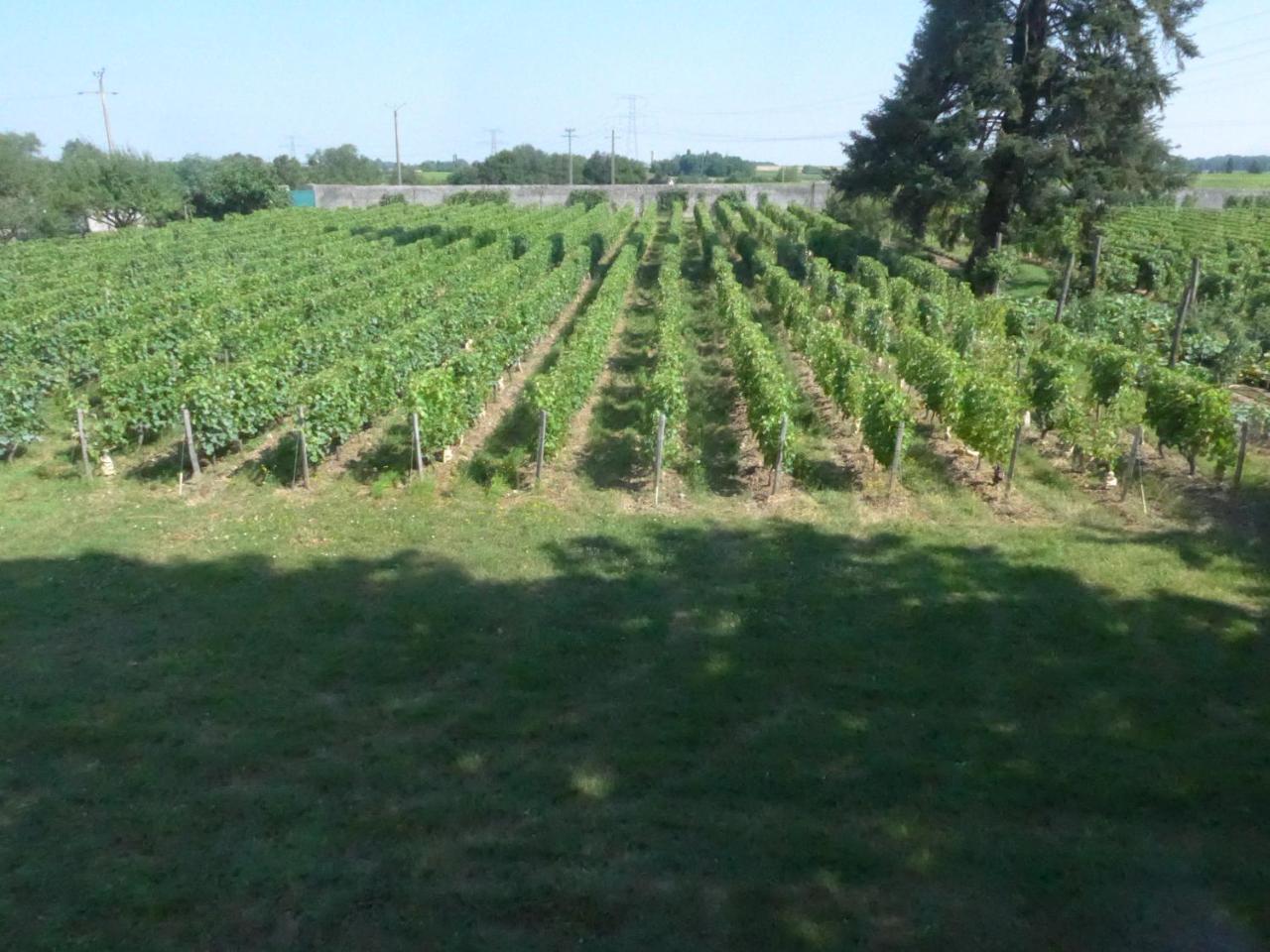 Au Clos De L'Epinay วูวเรย์ ภายนอก รูปภาพ